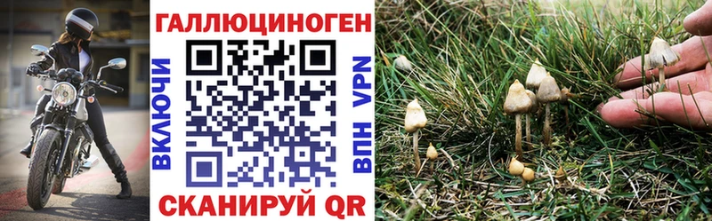 купить наркотики сайты  Буинск  Галлюциногенные грибы Magic Shrooms 